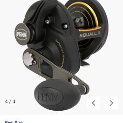 PENN Fishing Squall II Lever Drag Conventional 