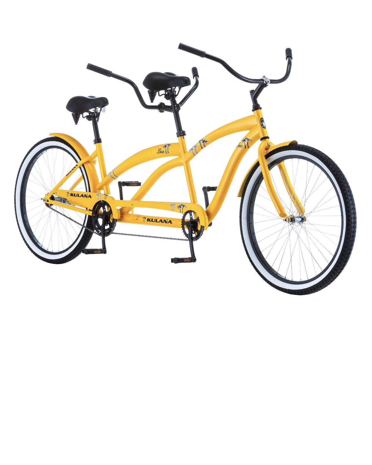 Two Seater lower Rider Bike