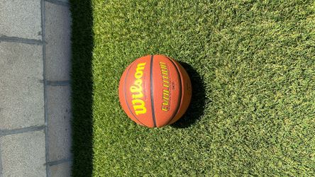 Wilson Basketball Evolution