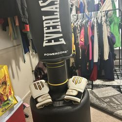 Punching Bag & Gloves 