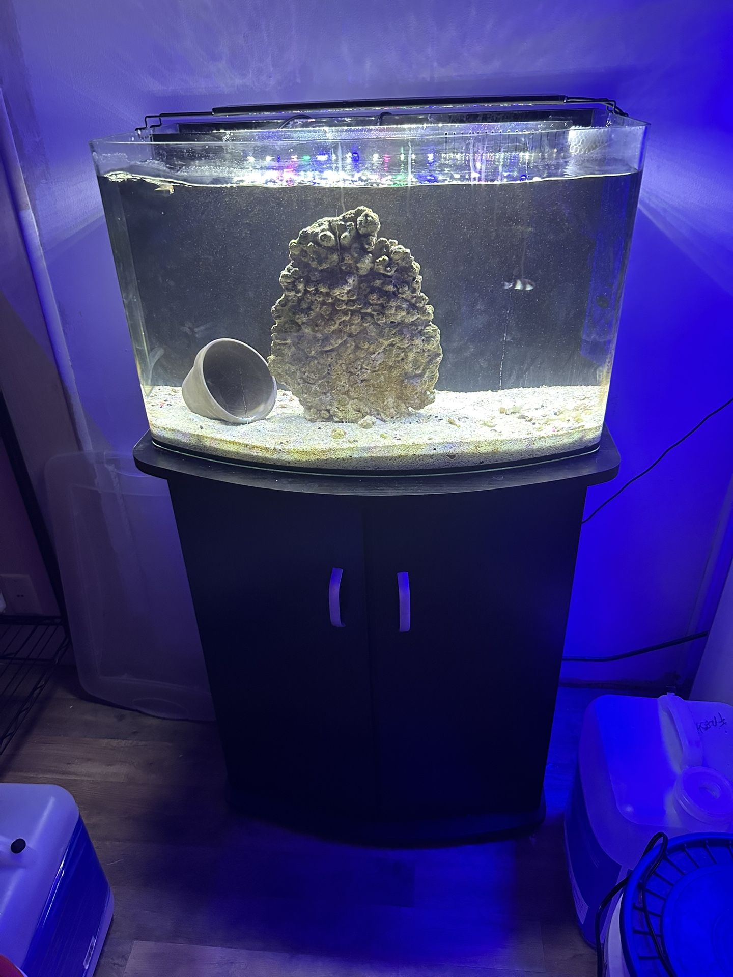 30 Gallon Rimless Bow Front AIO