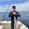 Colton Sorensen