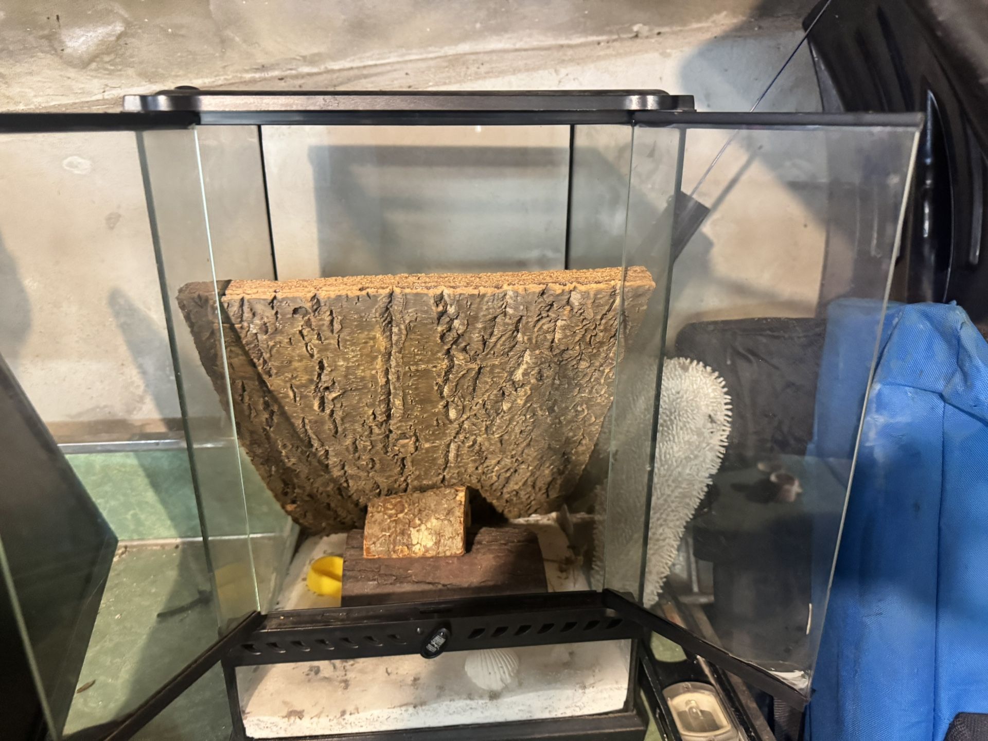 Reptile Tank