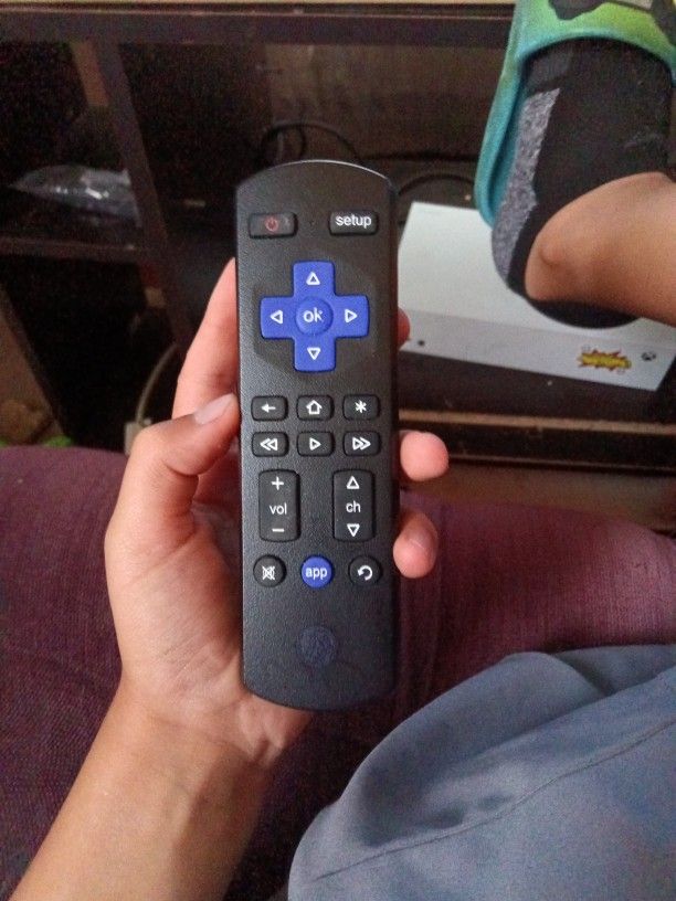 Roku Remote Already Has Double AAs Batteries In The Roku Remote Meet Me At The Morning Side Library Sioux City Iowa