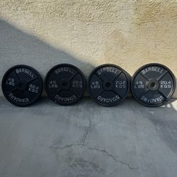 45 lb Rogue Olympic Plates