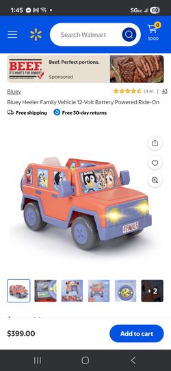 Bluey 12v car 2 seater