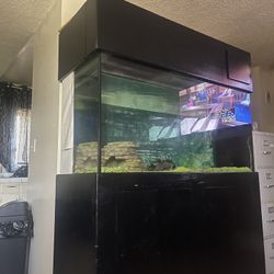 280 Gallon Fish Tank