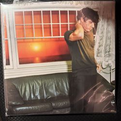 Model Vinyl Braeden version 