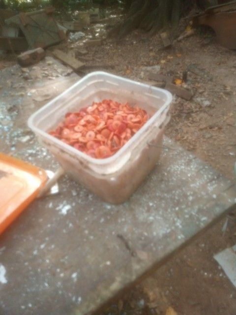 box of button caps  for roofing