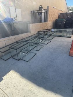 Fish Tanks