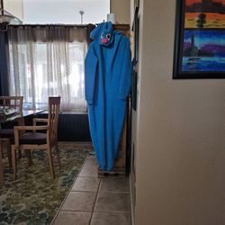 Cookie Monster Adult Small