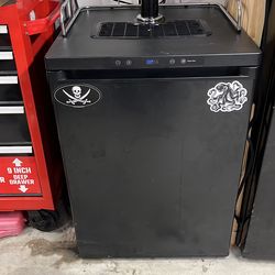 Dual Tap Kegerator Setup – Ready to Pour!