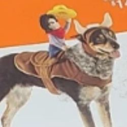 Dog Costume Cowboy Halloween Size Large