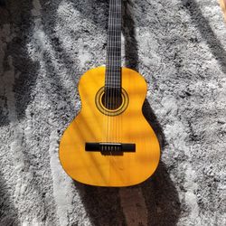 Classic Atustic  Guitar