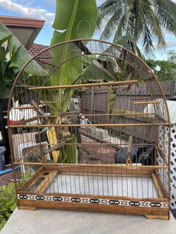 Bird Cage Canary