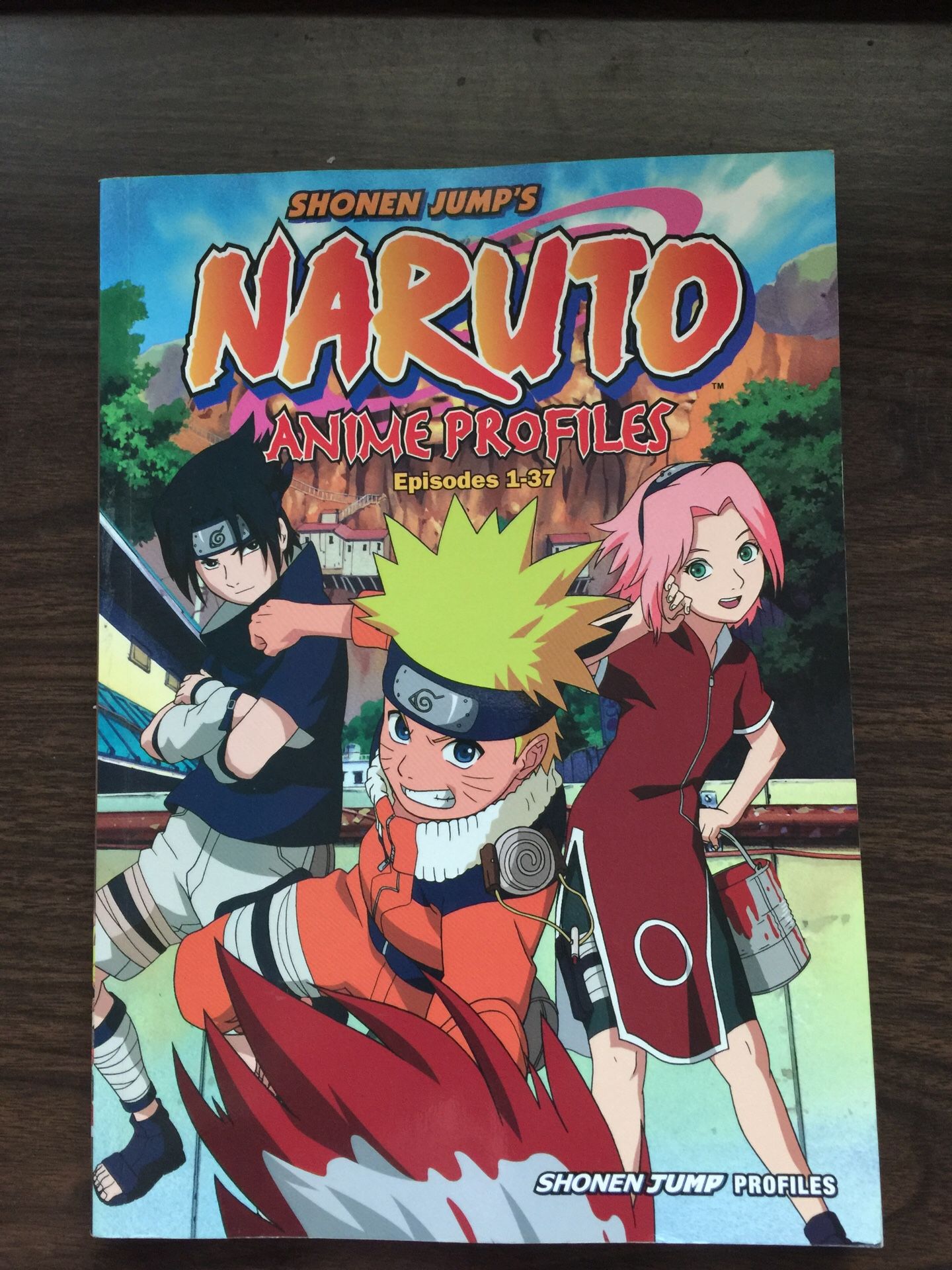 Naruto Anime Profiles Episodes 1-37