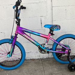Genesis. Girls. Bike. 18  Inch Tires 