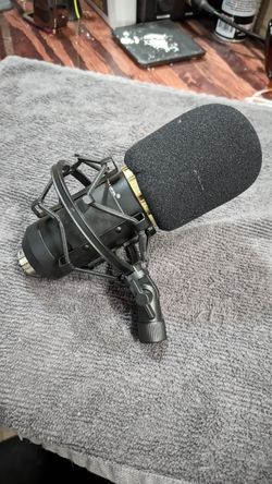 Microphone