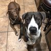 Melo & Mason