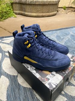 Air jordan 12 size 14 deals