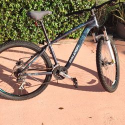 Raleigh Mountain Bike