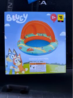Bluey pool