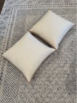 Pottery Barn Throw Pillows - 2