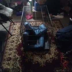 Animal Kennel