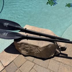 Werner Paddles Kalliste 2 Piece Straight Shaft Kayak Paddle - Lightweight Carbon Paddle for Touring & Recreation
