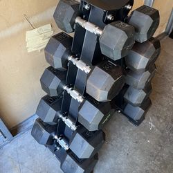 Dumbbells Weights with Stand 410lb total