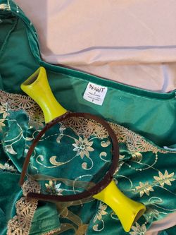 Fiona Costume