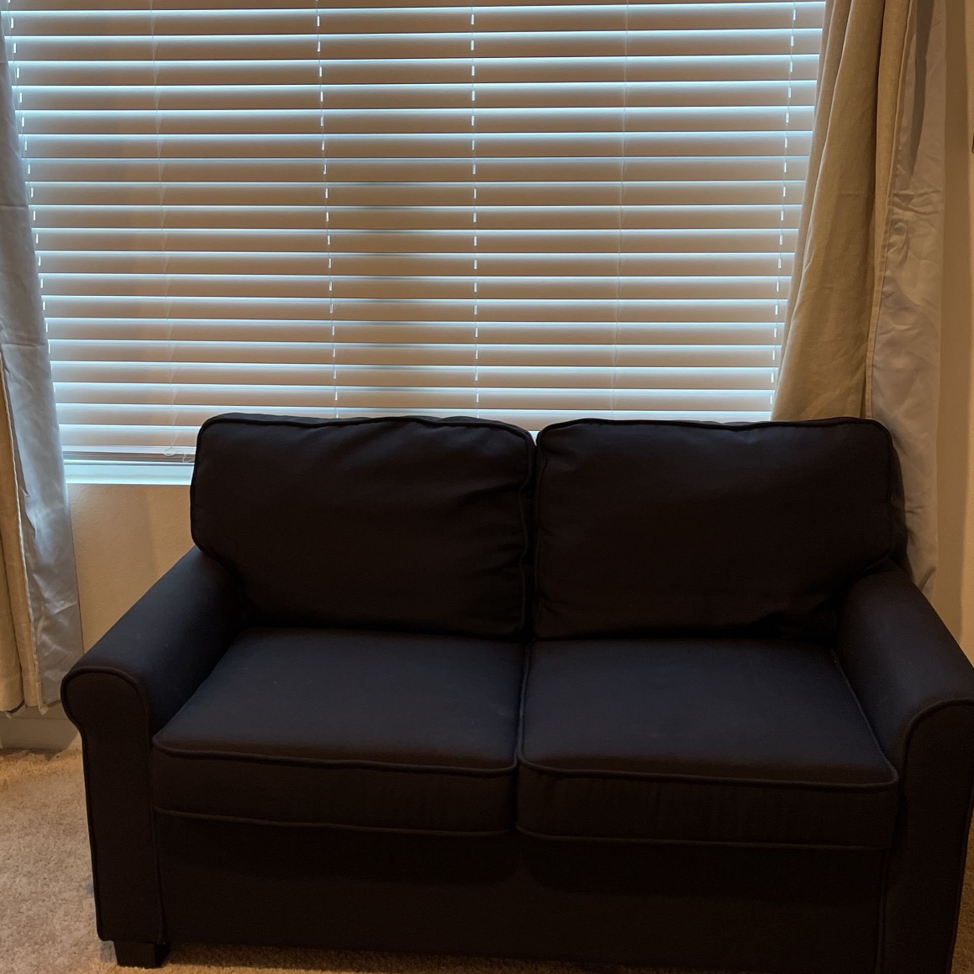 Loveseat Sleeper (twin Mattress)