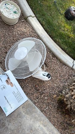 Wall fan everything must go today