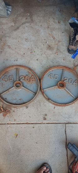 Two 45 lb Olympic style weights