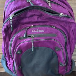 LL Bean XL Weatherproof Backpack EUC