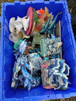 Dolphin collection