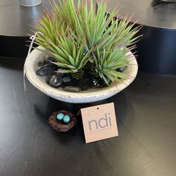 NDI Faux Succulent Arrangement in Ceramic Bowl (Showroom Piece)