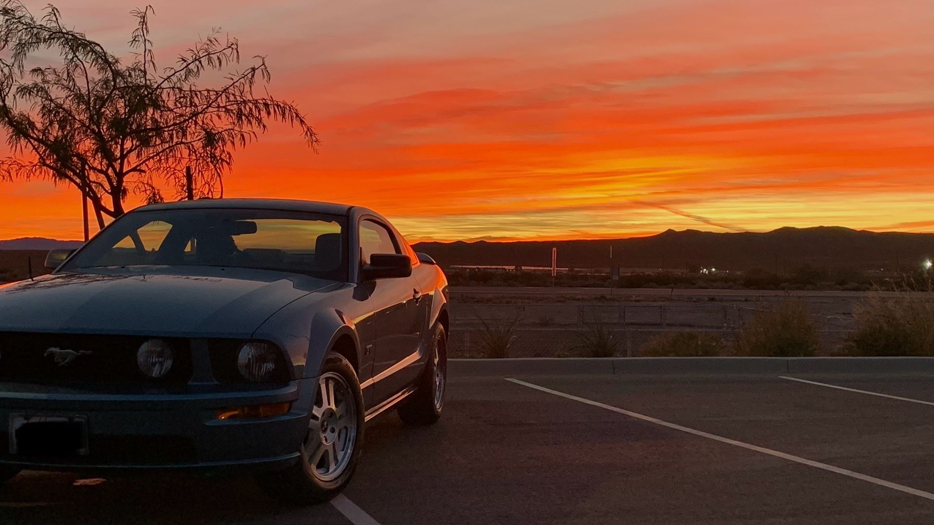 2007 Ford Mustang