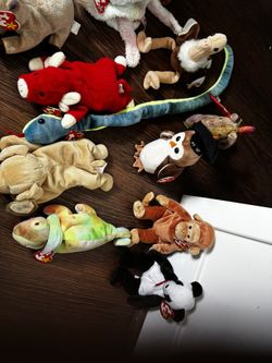 BEANIE BABY COLLECTION 