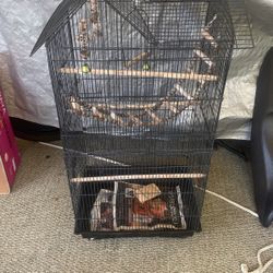 Large Bird Cage 