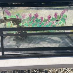 40 gallon reptile tank