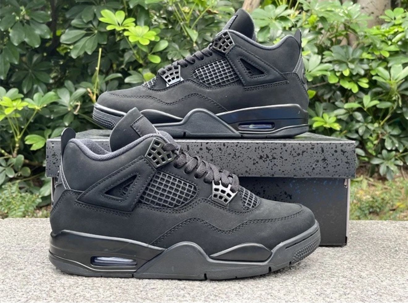 Black Cat 2025 Size 11