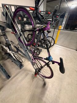 Custom Pixie Bike and Bike Trainer