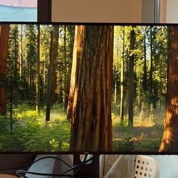 Dell Ultrasharp U2719DX 27-Inch WQHD 2560x1440 Resolution IPS Monitor with Infinity Edge Bezels