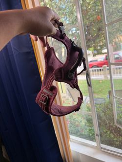Small/Medium Dog Harness