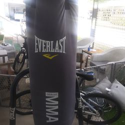Heavy Bag With Stand And Speed Bag, Gloves Matt Included