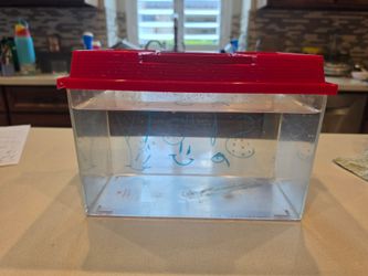 Aquarium with cover Approx 1.5 gallon