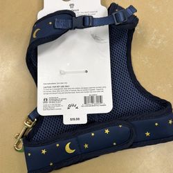 Cat harness and leash