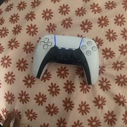 Brand New Controller 