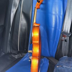 Viola
